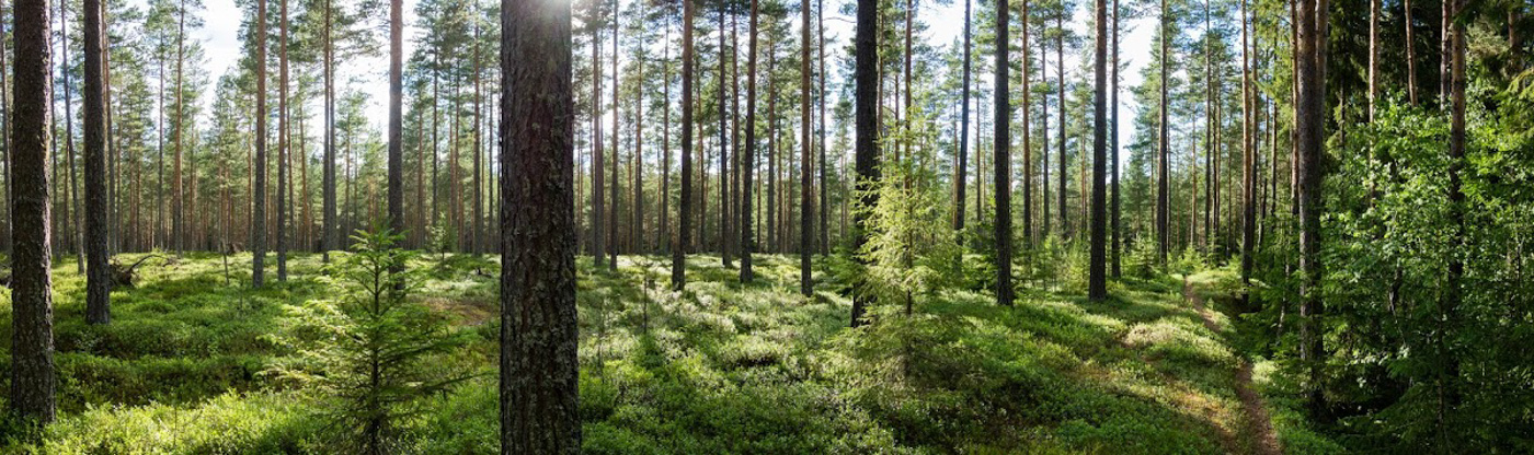 Teckna Elavtal - Ljusdal Energi